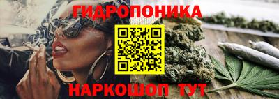 ECSTASY Моздок