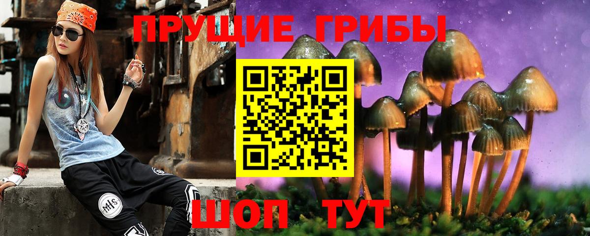 Галлюциногенные грибы мицелий  Вход с VPN  продажа наркотиков  Углич 