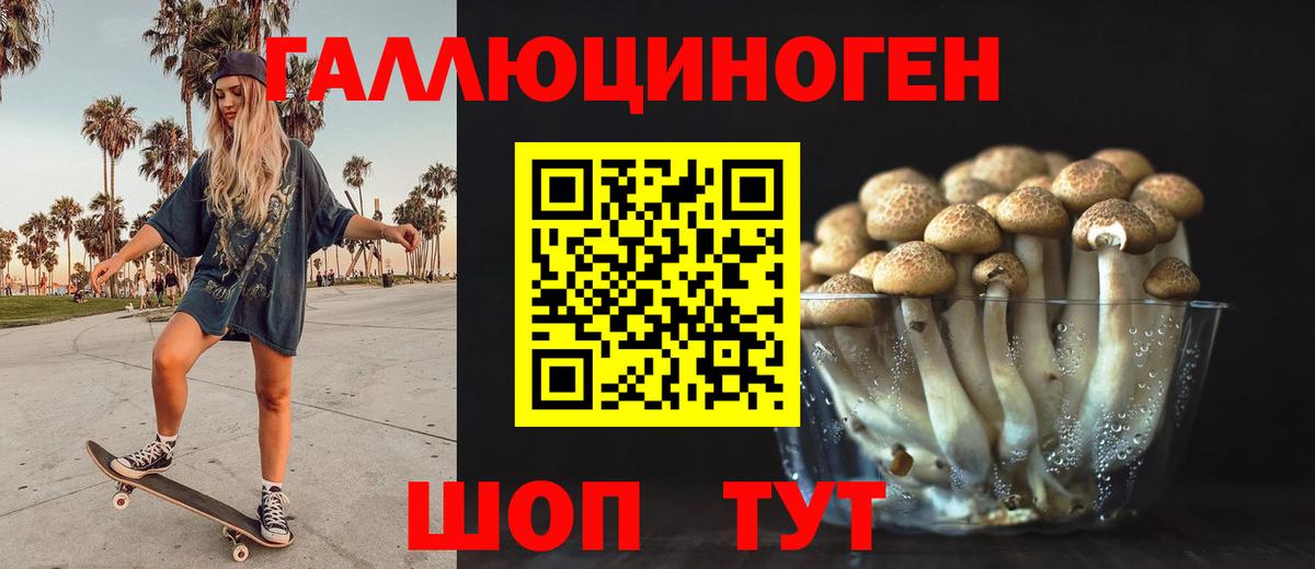 Псилоцибиновые грибы мицелий Углич